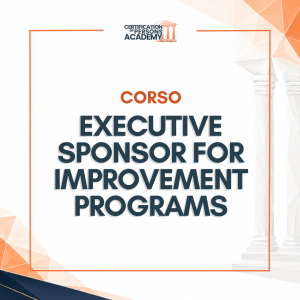 Executive Sponsor for Improvement Programs